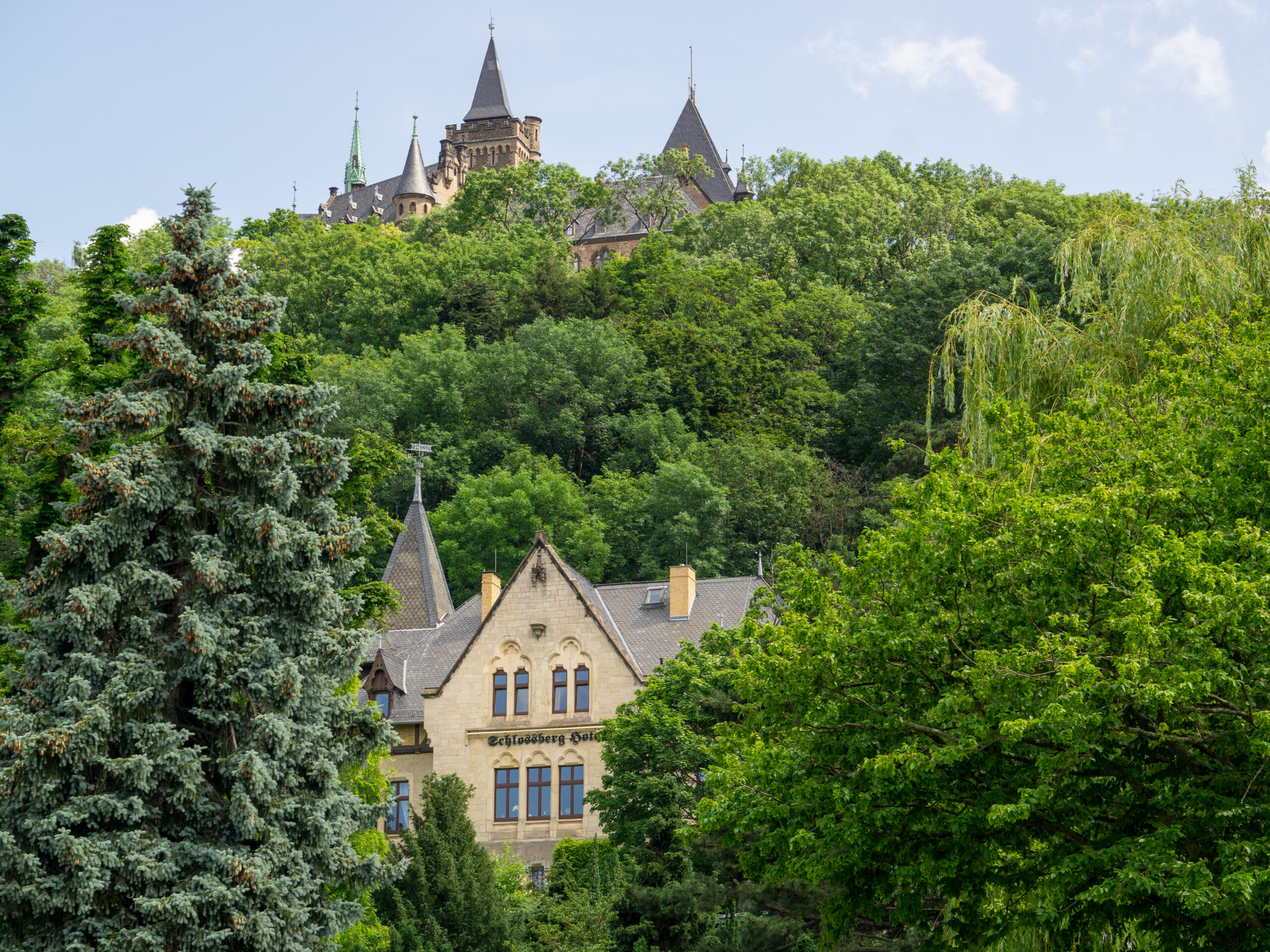 Blick vom Schlossberg Hotel Wernigerode auf Schloss Wernigerode